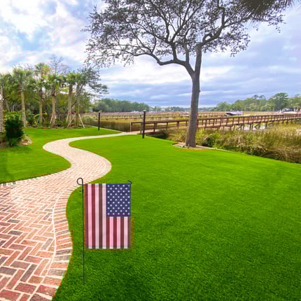 yard with flag